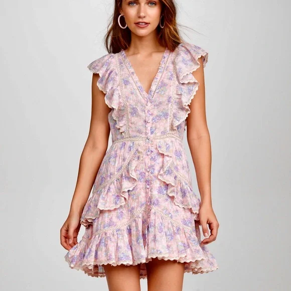 Like New LoveShackFancy India Mini Dress in Pink Garden size small